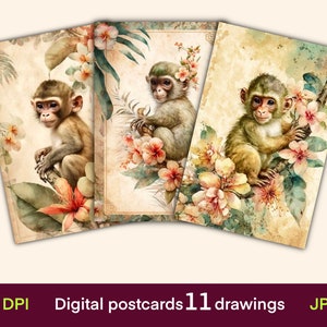 Affe digitale Karten, Journal karten, Vintage Postkarten Druck, digitales Papier, digitaler Download, Collage Blatt, Junk Journal Ephemera