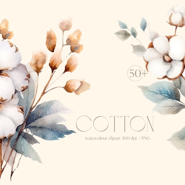 Cotton flowers, Boho flowers, Wedding clipart Watercolor, nursery collection, Floral frames, baby shower digital print, stickers, Scrapbook