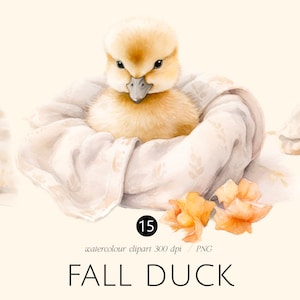 Pato de outono, moradores da floresta, clipart de aquarela de outono png, o outono chegou, ilustração de outono, laranja, tufos de tapete, licença comercial