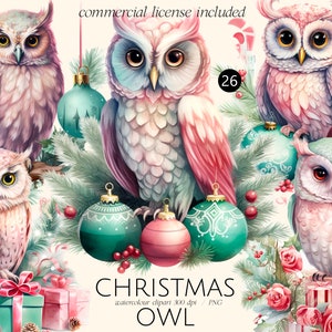 Christmas owl, Santa Claus watercolour clipart, Merry Christmas Collection digital print, illustration set, New Year, winter, holiday