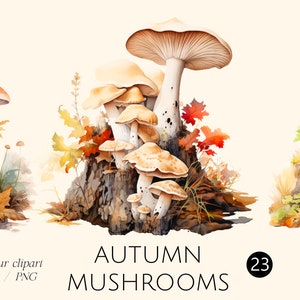 Cogumelos de outono, Moradores da floresta, Clipart de aquarela de outono png, O outono chegou, ilustração, laranja, folhas de outono, licença comercial