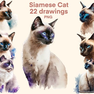 Siam Katze Clipart Aquarell png, Digitaldruck, Illustration, Aufkleber, Scrapbook, Junk Journal, Papierhandwerk