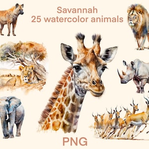 Animaux aquarelles, clipart savane png, impression numérique de 25 animaux mignons, ensemble d'illustrations, autocollants, scrapbooking, journal indésirable, travaux manuels en papier