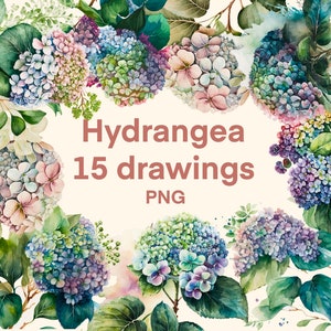 Hydrangea clipart Aquarela png, impressão digital, conjunto de ilustrações, adesivos, Scrapbook, Junk Journal, Paper Crafts