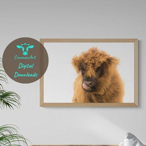 Baby Highland Cow - DIGITAL DOWNLOAD - Farmhouse Colour Photo - Nursery Wall Art - Large Printable Poster - Rustic Boho Decor - Minimalist