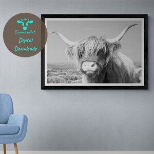 Highland Cow Print - PRINTABLE WALL ART - Black And White Photo - Office Decor - Large Poster - Digital Download - Gift For Cow Lover - Cute