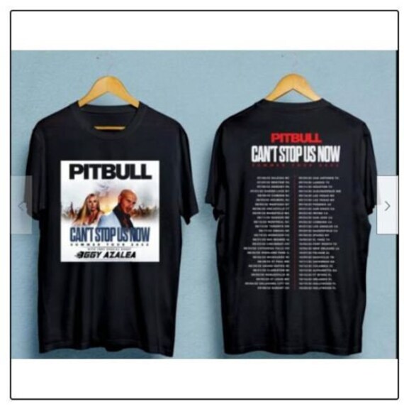Pitbull Merch Cant Stop Us Now Summer Tour Dates 2022 Tshirt Etsy