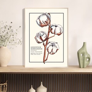 Gossypium Barbadense / Cartel de la planta de algodón / Descarga digital / Ilustración botánica / Arte de la pared de la acuarela / Impresión botánica imprimible