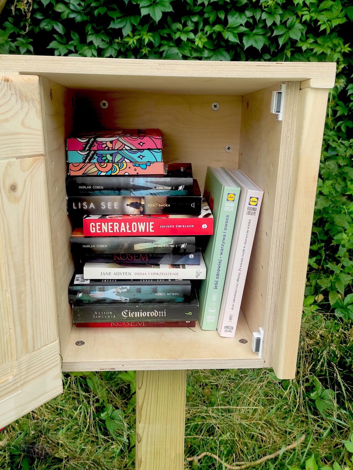 Little free library KIT DIY Etsy