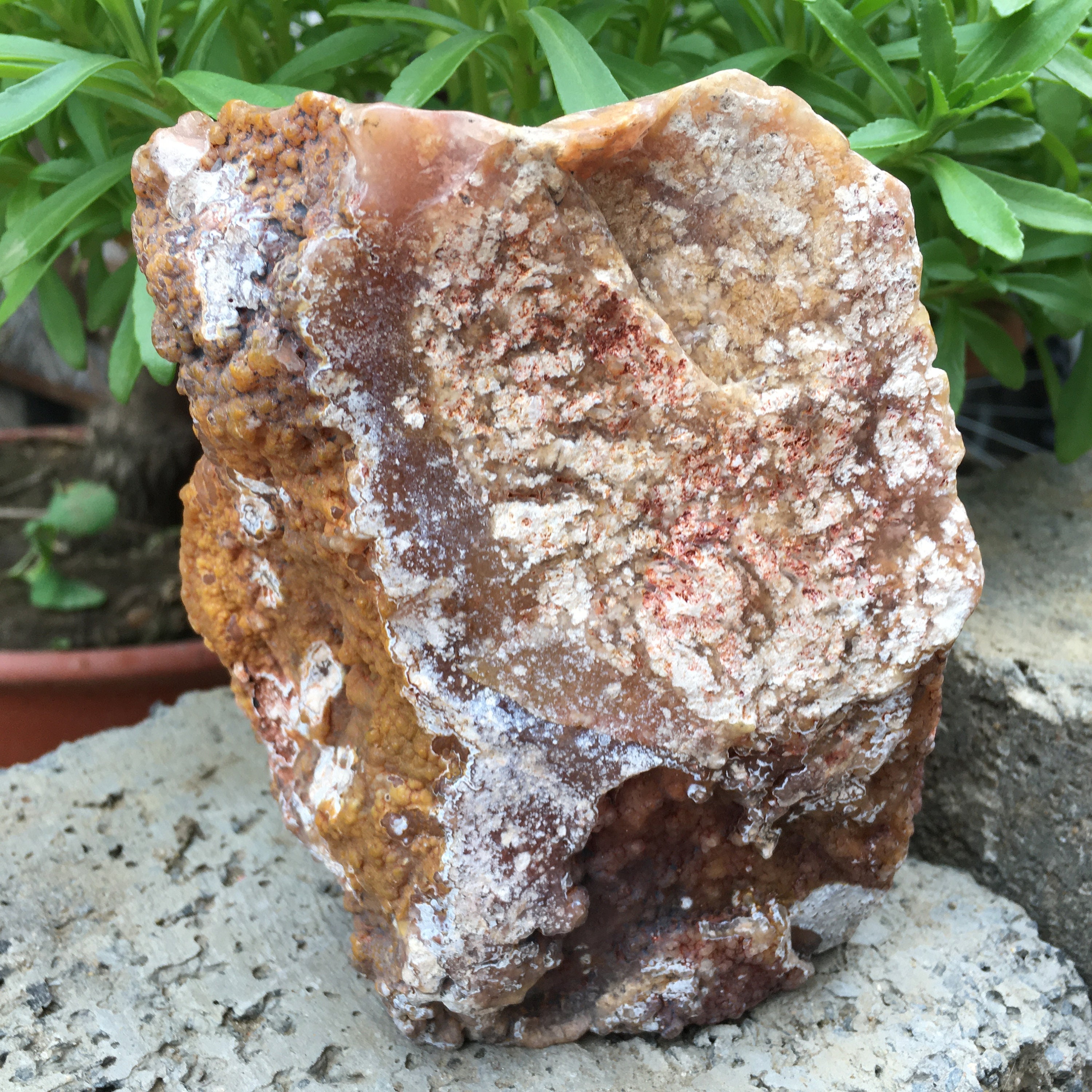 Natural cherry blossom agate quartz crystal specimen hand | Etsy