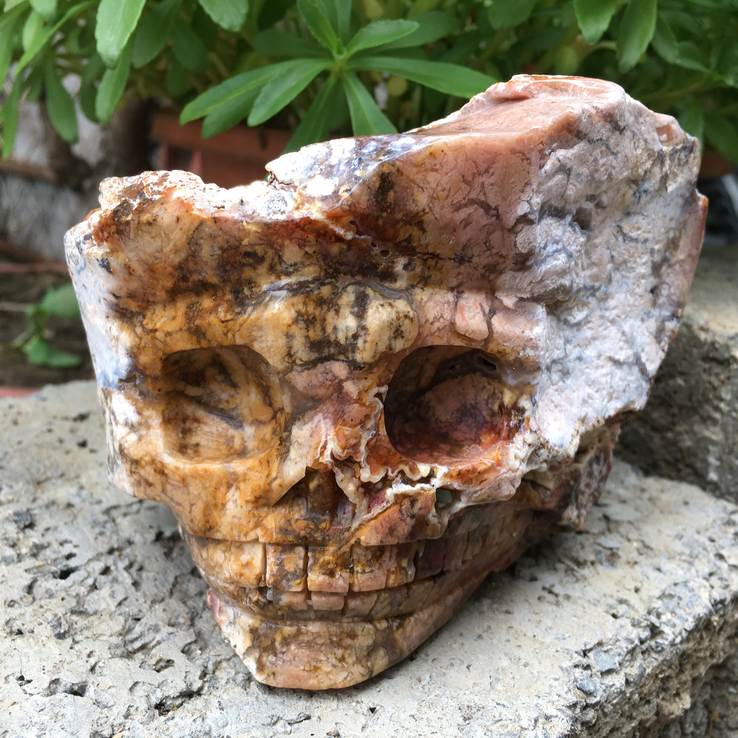 Natural cherry blossom agate quartz crystal specimen hand | Etsy