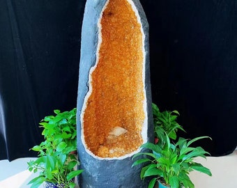 873.4LB Natural citrine geode cluster quartz crystal geode cluster quartz crystal specimen