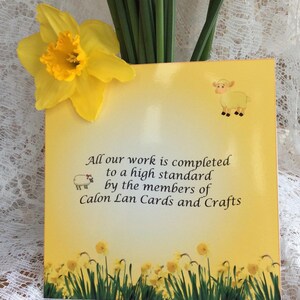 Cherry Orchard, Enchanting Floral Ladies Birthday Card, Butterflies And Flowers, Complete With Envelope