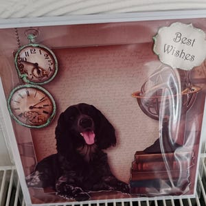 Dog Lovers card, Cute Dog  Card , Birthday card for Man, male Birthday card,  Card for Dad, Birthday Greetings, Munsterlander Dog card