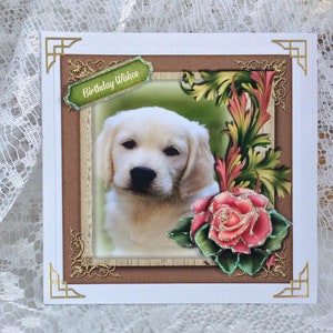 Tarjeta de deseos de cumpleaños para amantes de los perros, tarjeta para amantes de los perros, tarjeta especial para perros, tarjeta para ella, solo para ti