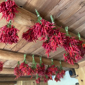 K&ouml;nnte beinhalten: Eine Holzdecke mit B&uuml;ndeln getrockneter roter Chilischoten, die von ihr h&auml;ngen.