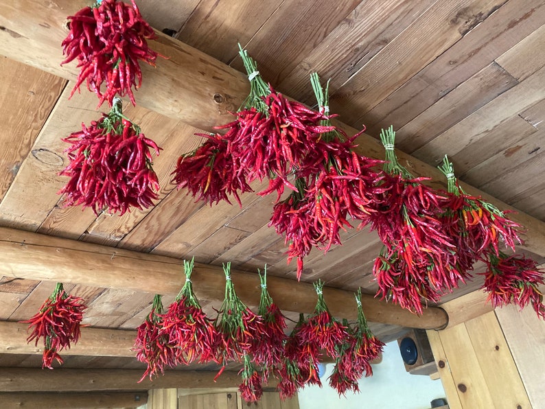 K&ouml;nnte beinhalten: Eine Holzdecke mit B&uuml;ndeln getrockneter roter Chilischoten, die von ihr h&auml;ngen.