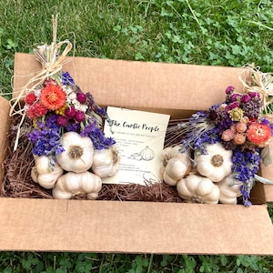 Set of TWO Small Organic Garlic Braids, Free Shipping, Italian House Blessing