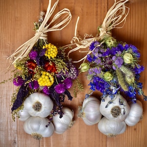 Set of 2 Mini Braids, Organic Garlic Braids, Free Shipping, Edible Art, Italian Blessing