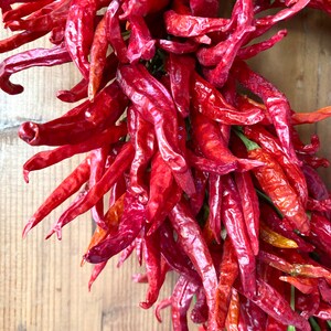 K&ouml;nnte beinhalten: Ein Bund getrockneter roter Chilischoten, die in einem Kreis angeordnet sind, wobei die Stiele nach au&szlig;en zeigen. Die Chilischoten sind tiefrot und haben eine runzlige Textur.