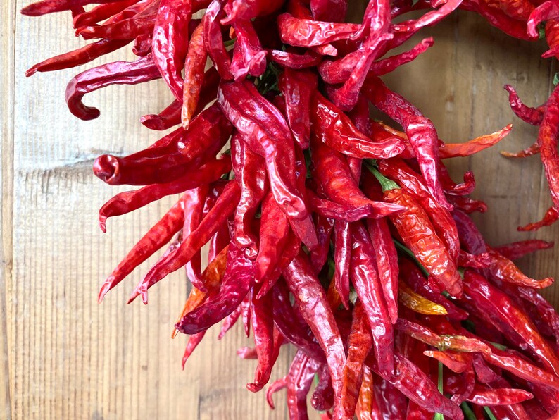 K&ouml;nnte beinhalten: Ein Bund getrockneter roter Chilischoten, die in einem Kreis angeordnet sind, wobei die Stiele nach au&szlig;en zeigen. Die Chilischoten sind tiefrot und haben eine runzlige Textur.