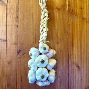 Organic Garlic Braid, Edible Art, Kitchen Decor, Free Shipping, Italian House Blessing