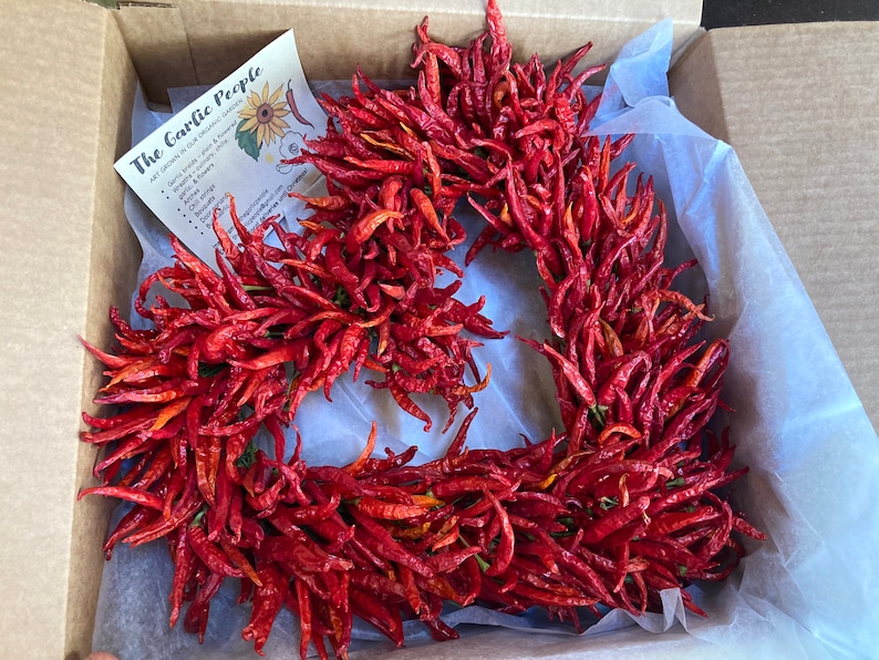 K&ouml;nnte beinhalten: Eine Schachtel gef&uuml;llt mit getrockneten roten Chilischoten. Die Chilischoten sind in Form eines Kranzes angeordnet. Eine kleine Karte mit dem Text "The Garlic People" ist in der Schachtel sichtbar.