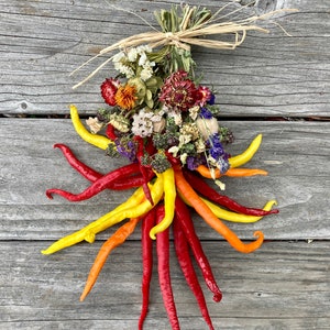 Chili Garland, Chili Pepper Door Hanging,  Cayennes in 3 Colors