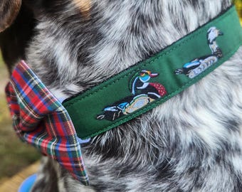 May include: A green dog collar with embroidered ducks and a red, green, and blue plaid bow tie. The collar is on a dog with black, white, and gray fur. The bow tie is attached to the collar.