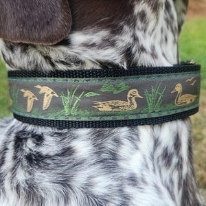 Handmade Duck Collar. Fisher Collar. Green and Blue Jacquard Ribbon. For XL Dogs. 1.5"Wide. Hunting Dog. Boykin, Pointers and Labs