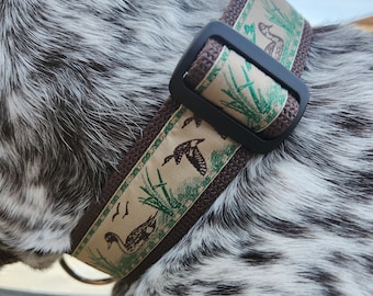 May include: A dog collar with a brown and tan duck pattern. The collar has a black plastic buckle and is secured around the dog's neck. The collar's design features ducks, reeds, and other outdoor elements.