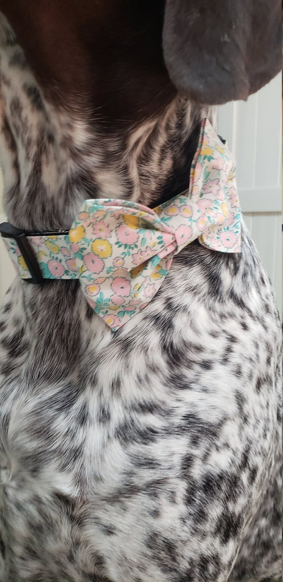 Handmade Dog Collar with Bow Tie. Sweet Pea Collar. Floral Etsy