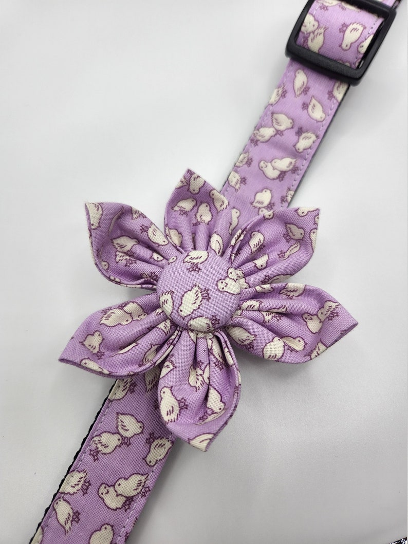 easter dog bow tie collar