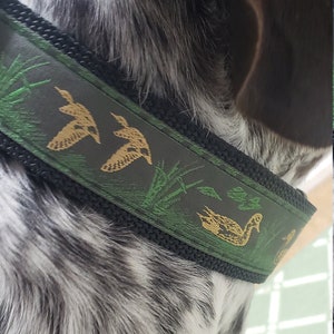 Handmade Duck Collar. Fisher Collar. Green and Blue Jacquard Ribbon. For XL Dogs. 1.5&quot;Wide. Hunting Dog. Boykin, Pointers and Labs