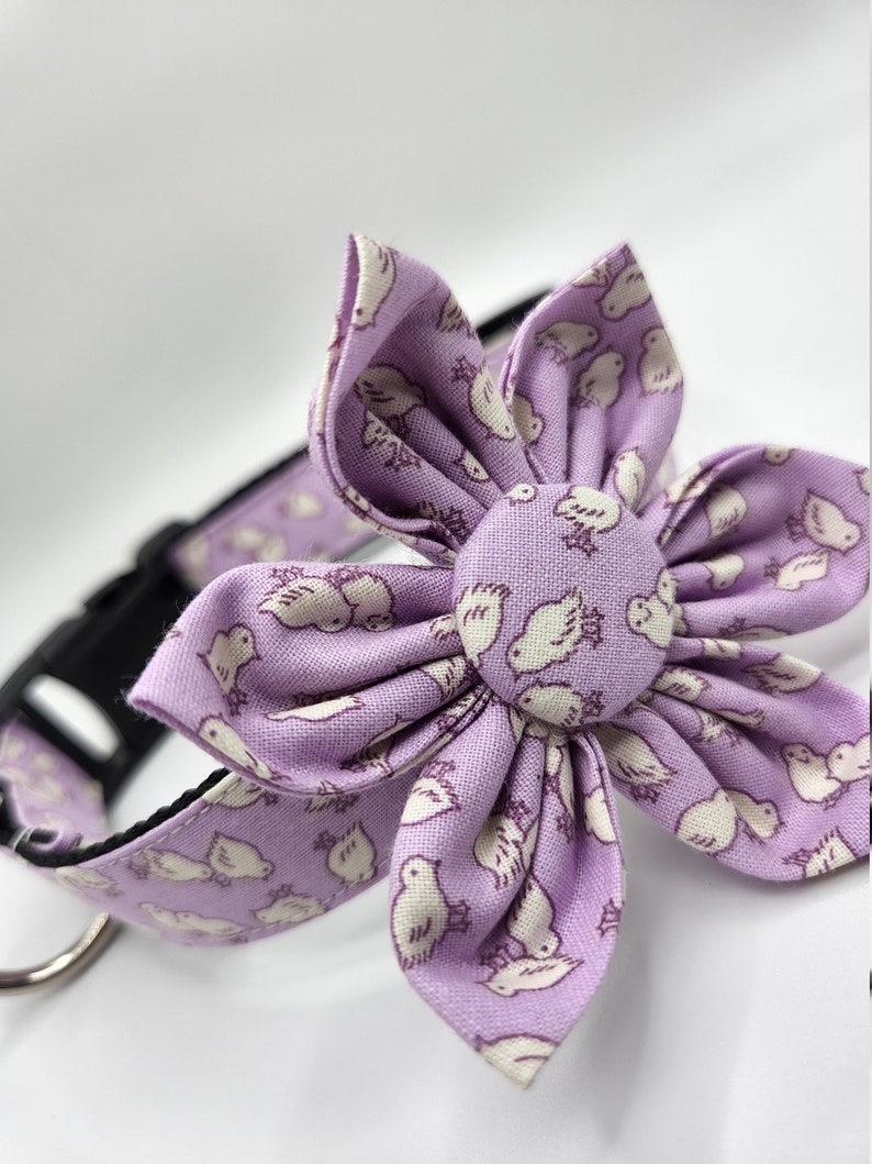 easter dog bow tie collar