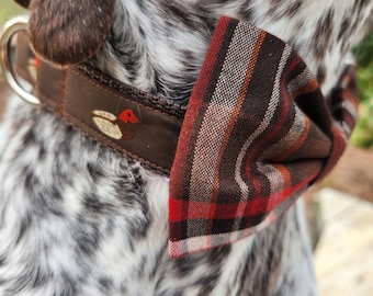 May include: A brown and white dog wearing a brown leather collar with a duck design and a red and black plaid bow tie.