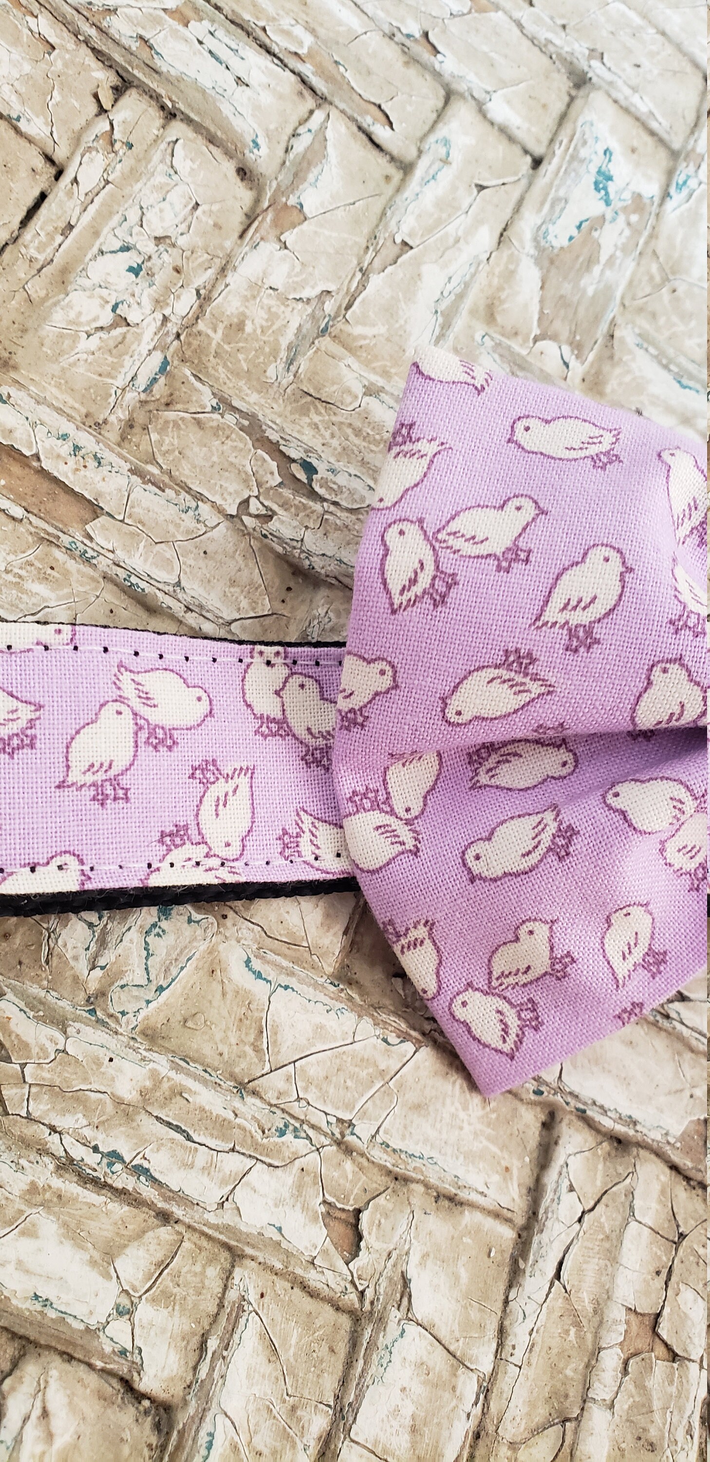 easter dog bow tie collar