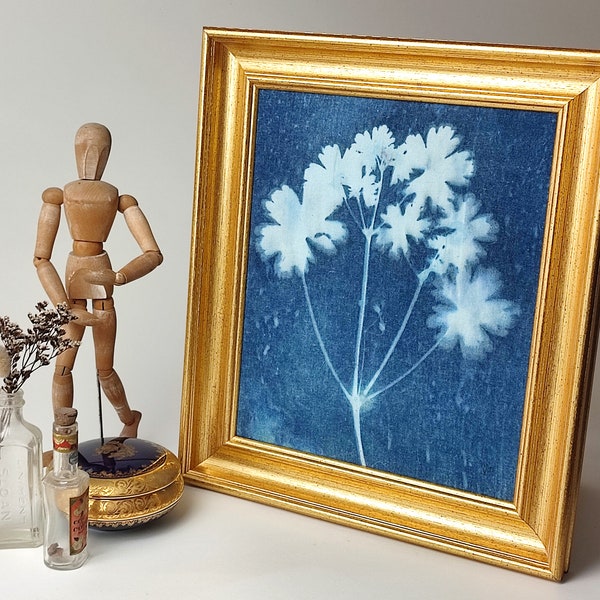 Cyanotype de géranium mou sur tissu avec cadre ancien doré, œuvre unique