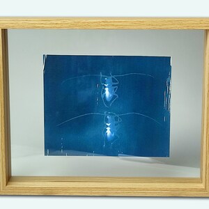 Cyanotype capricorns on paper, framed under glass image 3