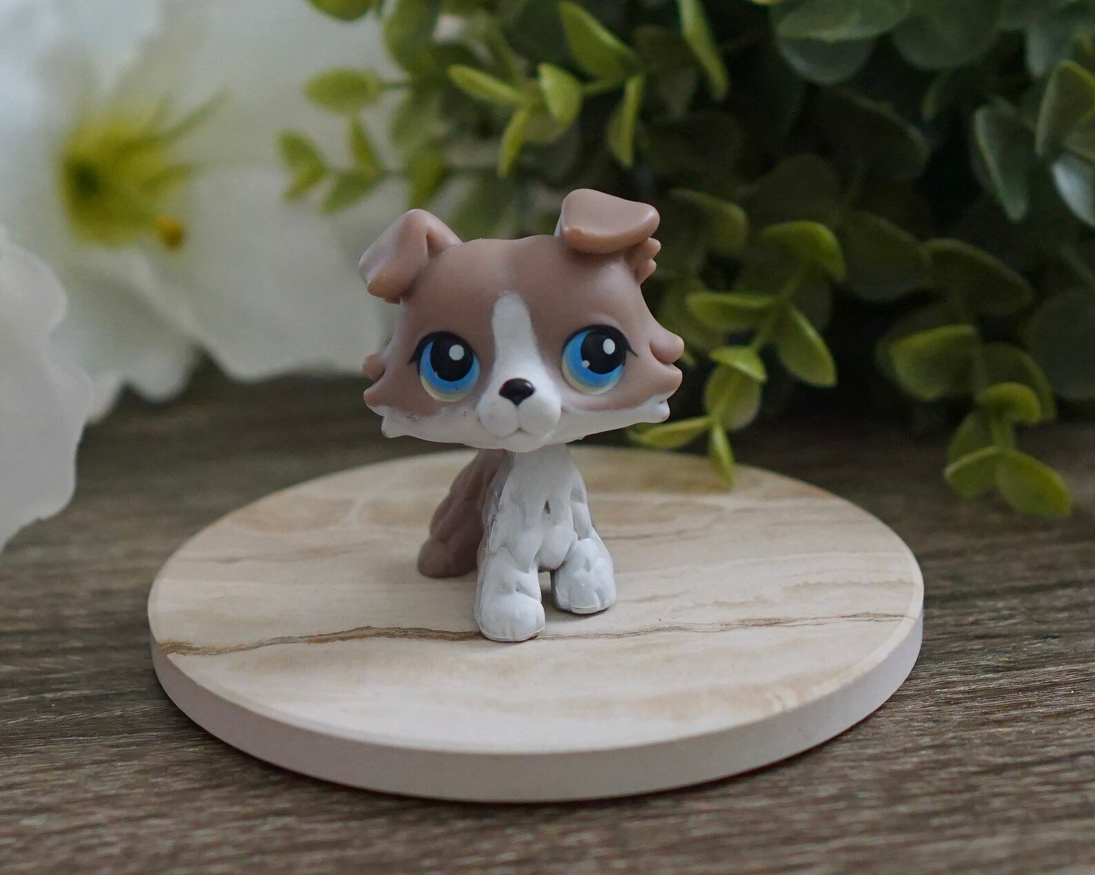 Littlest Pet Shop Collie 67 Accessories LPS Dog Etsy
