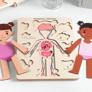 Human Organs Busy Board, Anatomy Puzzle for Kids, Educational Wooden Toys, Pretend Play Hospital Puzzle, Learning Toys, Birthday Kids Gift