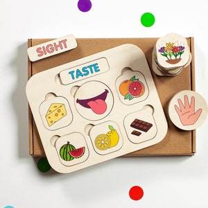 Jogo de classificação dos cinco sentidos, Jogo de classificação dos cinco sentidos, Brinquedos Montessori, Brinquedos de atividade, Presente para pré-escola, Planilhas sobre o corpo humano, Presente para criança pequena