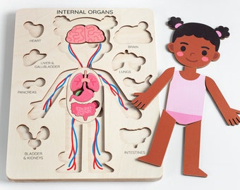 Learning human body - Internal organs, Medical Pretend play Doctor set, Montessori toys, Anatomy teacher gifts, Gift for kids gifts toddler