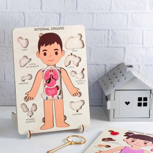 Gifts for Kids Human Body Puzzle Jigsaw Puzzle Kids Gifts