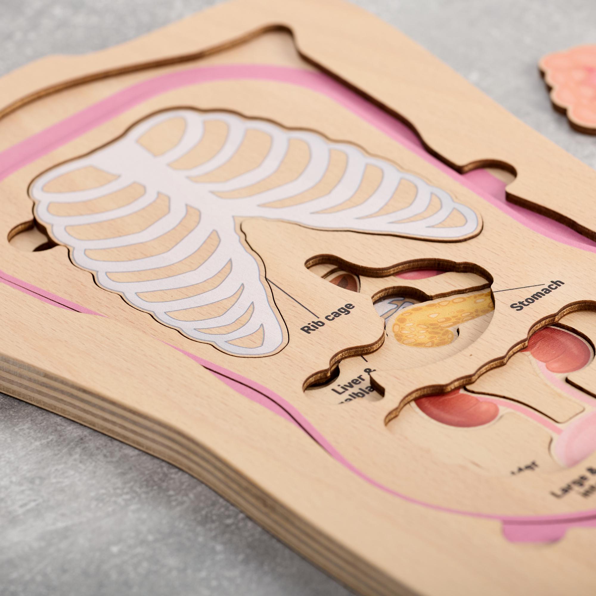 Montessori Human Anatomy Puzzle, Internal Organs Wooden Book for Toddlers, Preschool Biology Chart