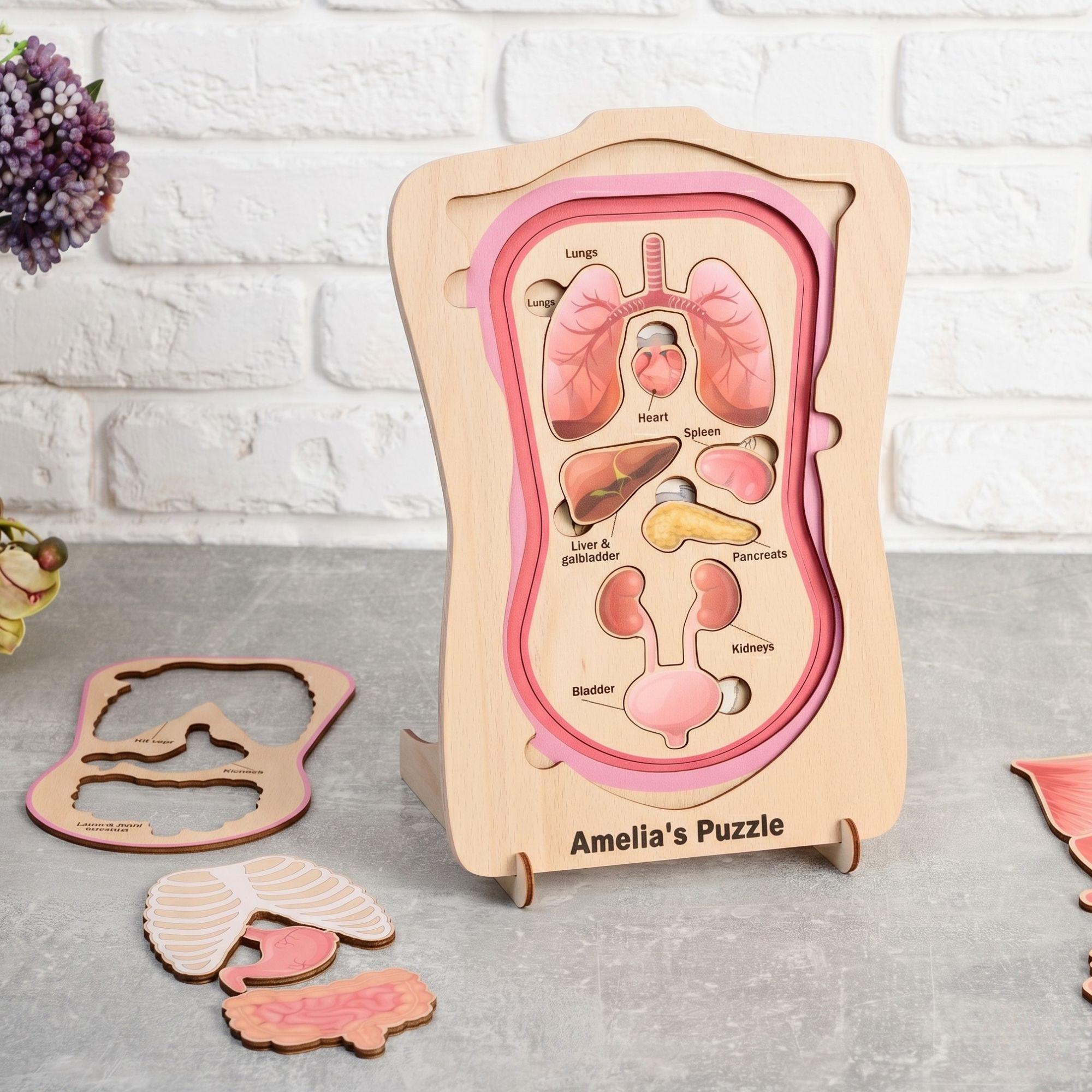 Educational Wooden Human Body Anatomy Puzzle, Montessori Layered ...