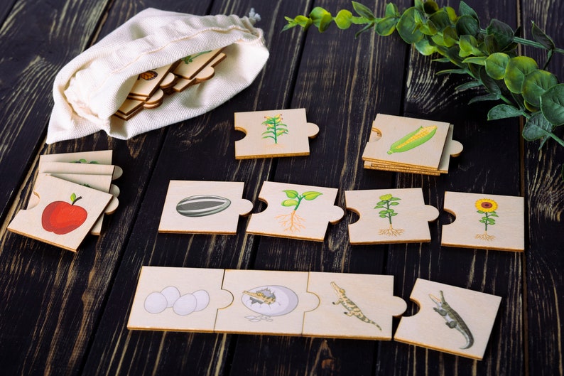 Life cycle wooden puzzle for toddlers with colorful illustrations shows the pattern of plant and animal life cycles.