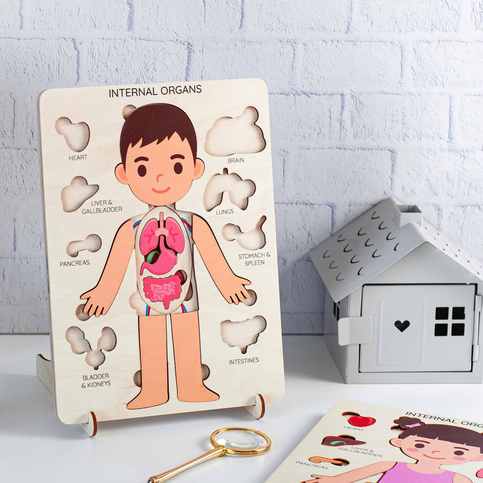 Gifts for Kids, Human Body Puzzle, Jigsaw Puzzle, Kids Gifts Learning ...