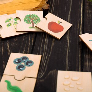 Frog Life Cycle, Wooden puzzle, Toddler puzzles jigsaw, Montesssori Biology, ButterflyLife Cycle, Montessori toys, Kids Christmas Gifts image 10