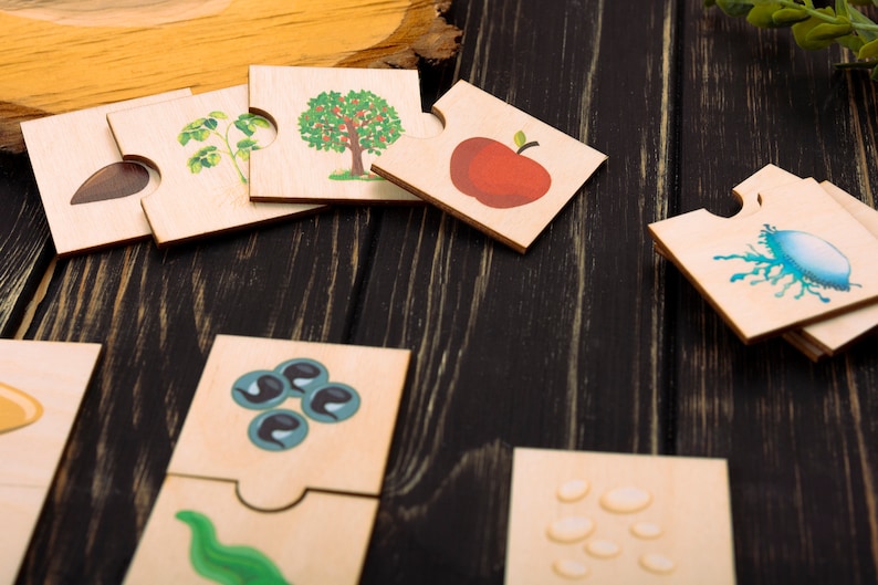 Frog Life Cycle, Wooden puzzle, Toddler puzzles jigsaw, Montesssori Biology, ButterflyLife Cycle, Montessori toys, Kids Christmas Gifts image 10